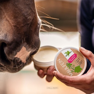 Bense & Eicke Maulfein - Nourishing balm for care of muzzle and brittle skin areas