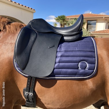Omega dressage saddle with interchangeable gullets