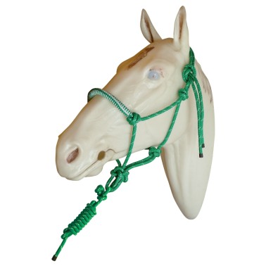Rope halter with covered noseband and lead