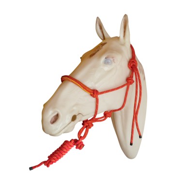 Rope halter with covered noseband and lead