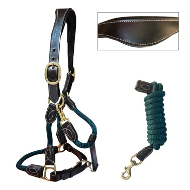 Ergonomic halter, rope and leather, with lead