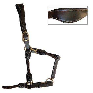Ergonomic halter, rope and leather