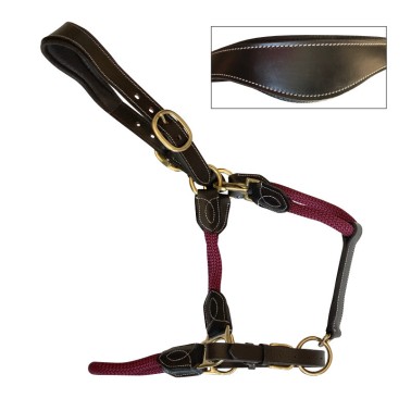 Ergonomic halter, rope and leather