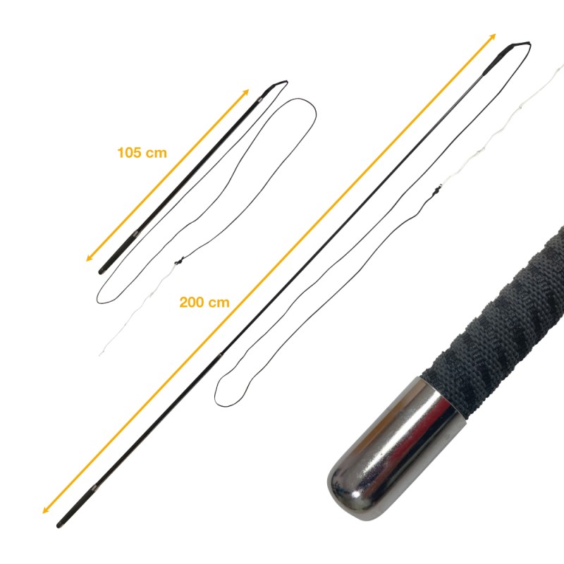 Telescopic lunge whip