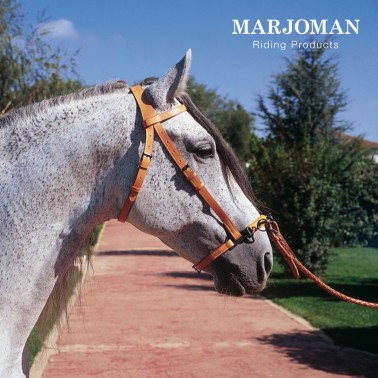 MARJOMAN DRESSAGE HALTER, CAVESSON WITH RINGS