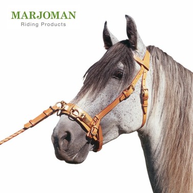 MARJOMAN STRONG LEATHER LUNGING CAVESSON