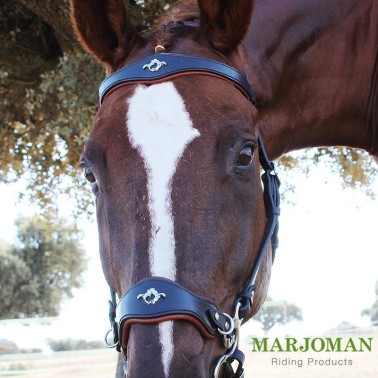 MARJOMAN HACKAMORE BRIDLE WITHOUT REINS