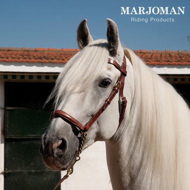 MARJOMAN SHOW HALTER WITH LEATHER BROWBAND AND LEATHER LEAD