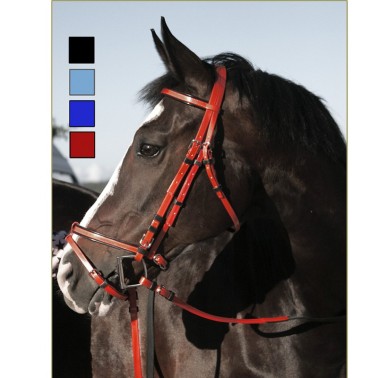 DASLO BRIDLE WITH CONTRAST COLOUR PROFILE AND RUBBER