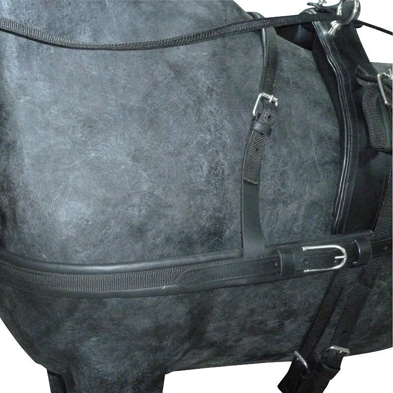 HARNAIS AVEC MARTINGALE NYLON ET CUIR