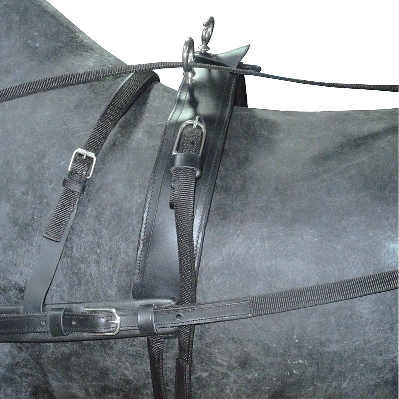 Harnais En Cuir Weaver Pour Cheval - Style Roper Avec Martingale Allemande (neuf)