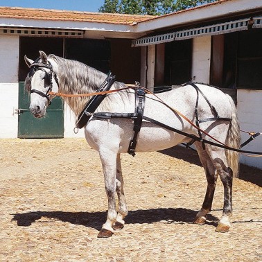 DRIVING HARNESS WITH EXTRAROUND COLLAR 2 HORSES