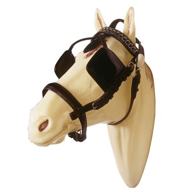 HARNESS BRIDLE