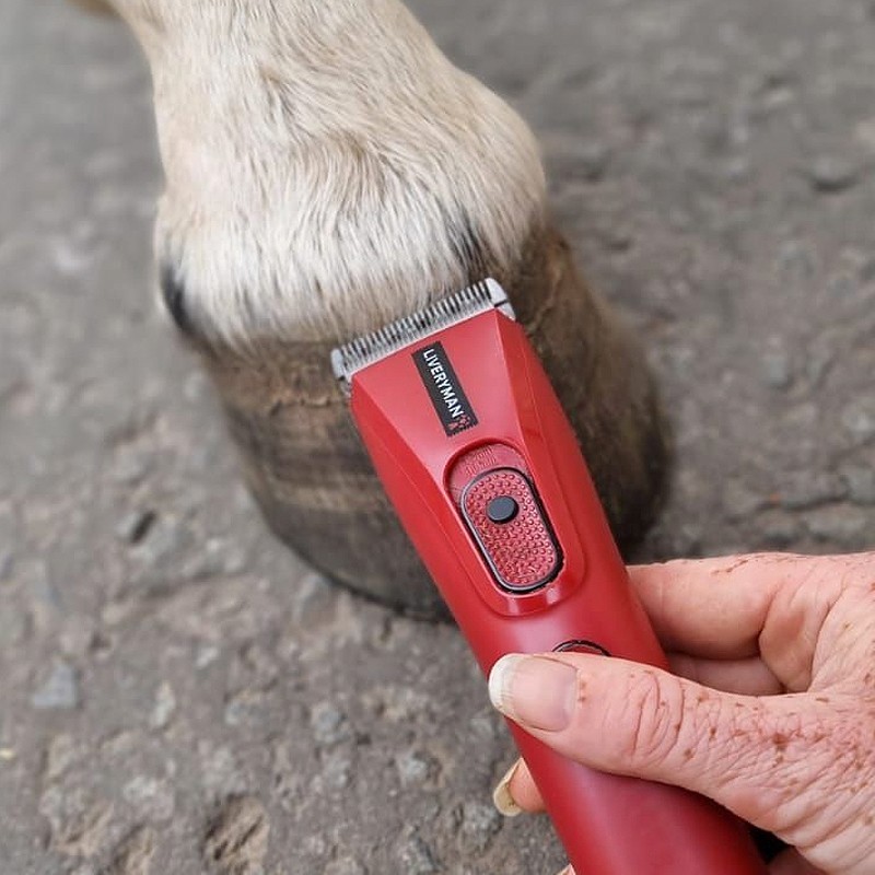 LIVERYMAN CLIPPER NOVA