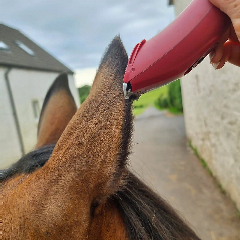 LIVERYMAN CLIPPER NOVA