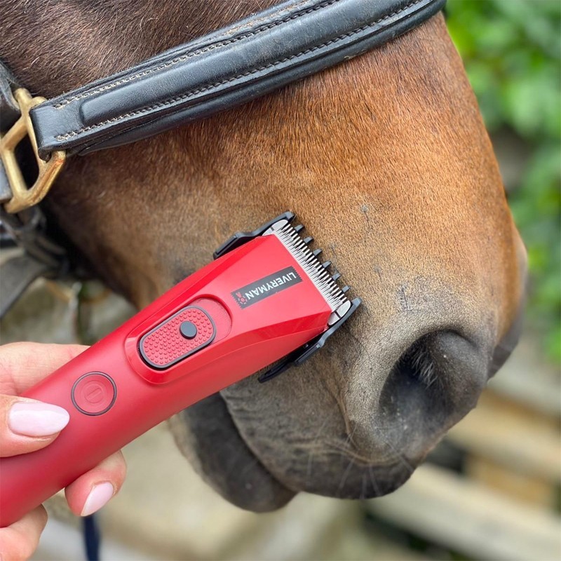 LIVERYMAN CLIPPER NOVA