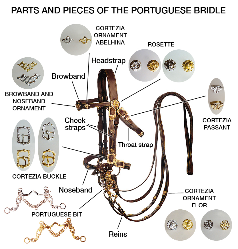 portuguese-bridle-parts-pieces.jpg