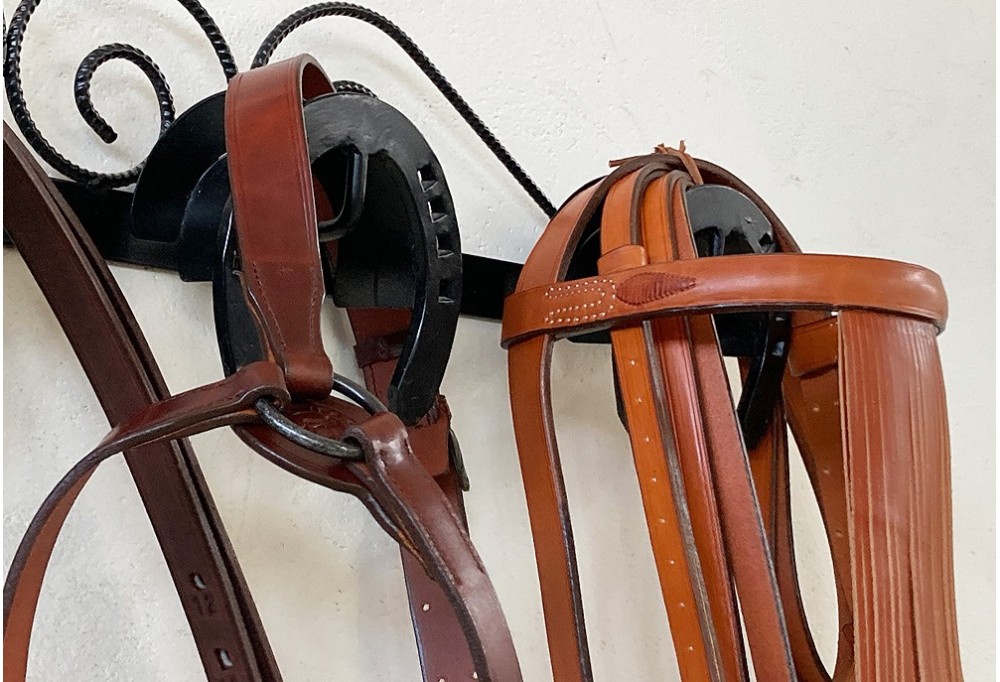 Your horse riding equipment, always like new