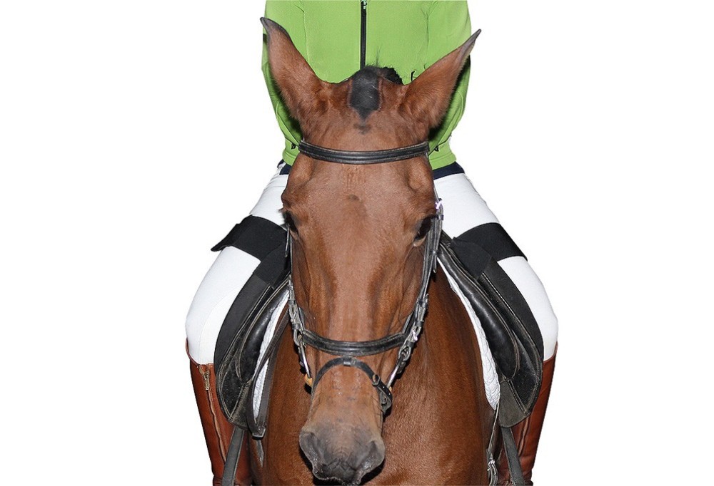 Riding Security Band, improve your posture without fear of falling off the horse